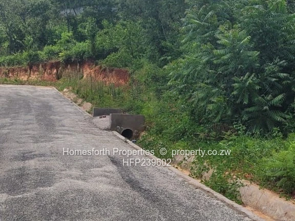 Great Opportunity!!!