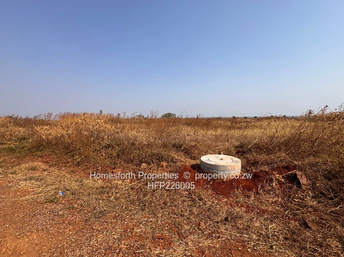 Nyeredzi Ridge Stand for Sale (Sole Mandate)