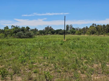 Farm & Agricultural Land