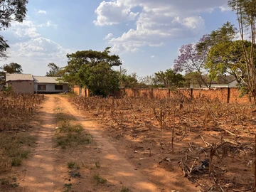 Stands & Residential Land