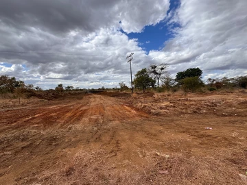 Farm & Agricultural Land
