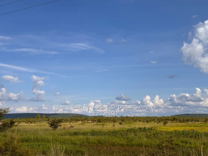 Norton Plot for Sale: Bulawayo Road Frontage (Sole Mandate)