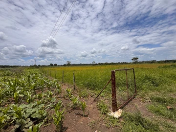Farm & Agricultural Land