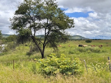 Farm & Agricultural Land