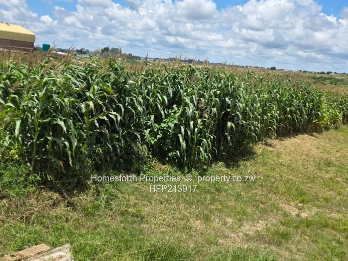 Damofalls industrial stand for sale