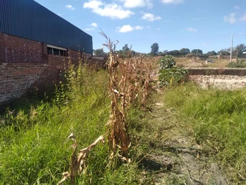 Commercial & Industrial Land