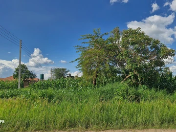 Stands & Residential Land