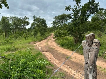 Farm & Agricultural Land