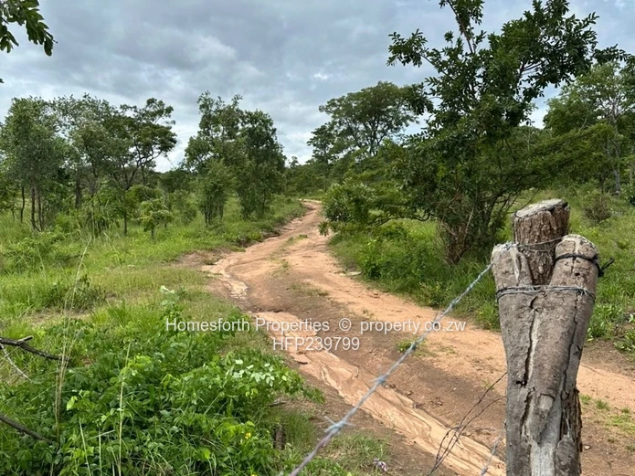 Exclusive Agricultural Land In Marondera For Sale