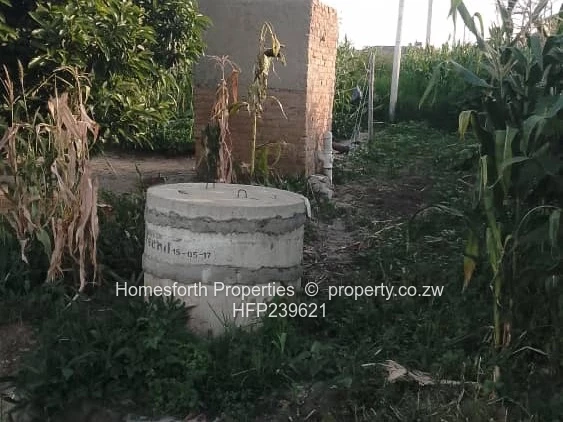 Investment Opportunity 