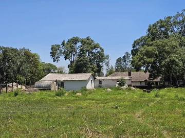 Farm & Agricultural Land