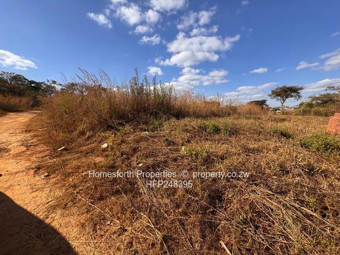 Norton Lidiate Agro Residential Plots For Sale  (Sole Mandate)