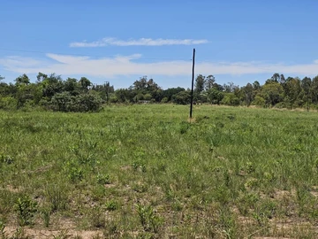 Farm & Agricultural Land