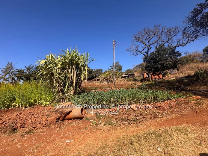 Borrowdale Brooke Stand for Sale (Along Churchill)  