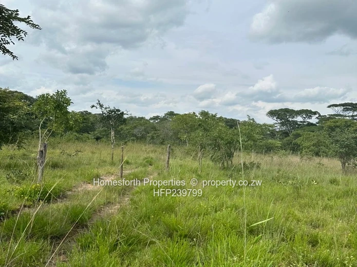 Exclusive Agricultural Land In Marondera For Sale