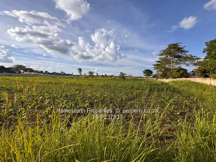 Norton: Zvimba Road 2 Hectare Plot for Sale (Sole Mandate)