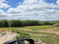 Commercial & Industrial Land