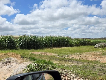 Commercial & Industrial Land