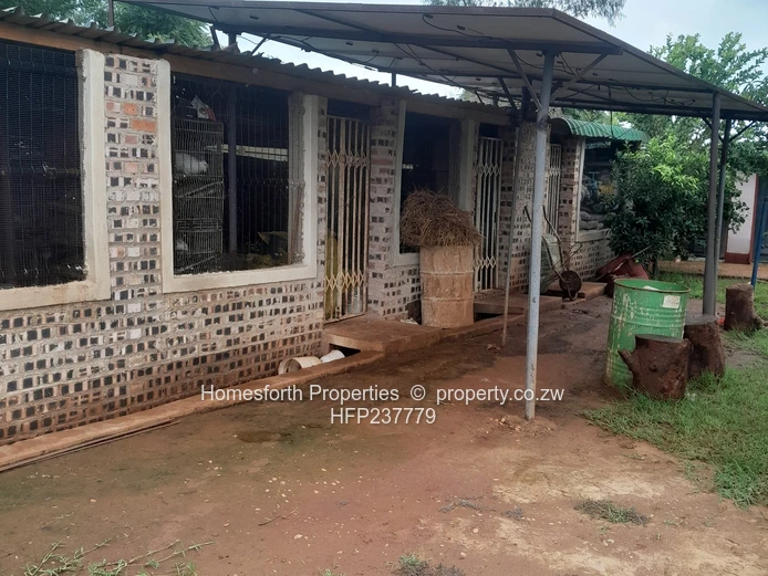 Thatched House For Sale In Crowhill