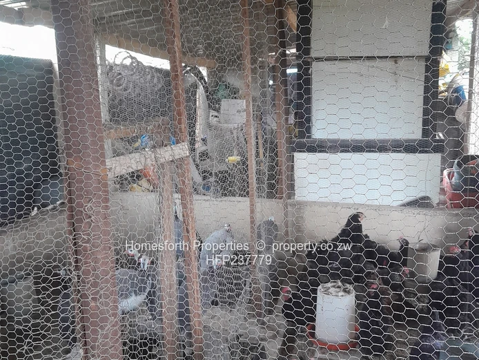 Thatched House For Sale In Crowhill