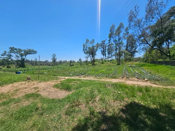 Farm & Agricultural Land