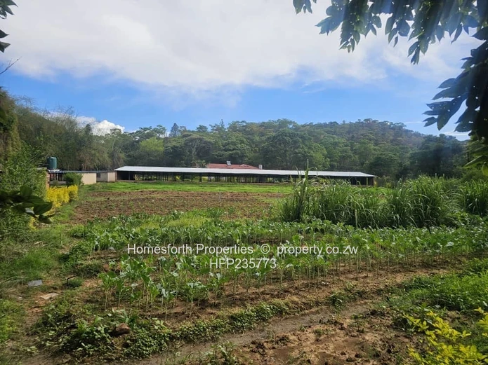 Umwinsdale property for sale