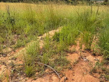 Farm & Agricultural Land