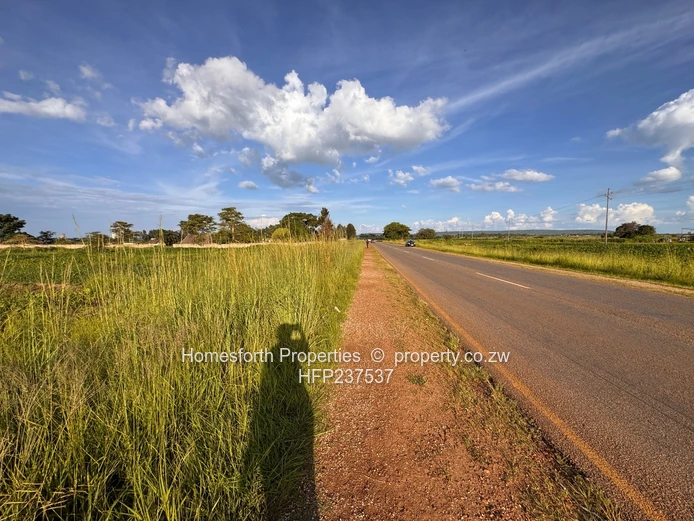 Norton: Zvimba Road 2 Hectare Plot for Sale (Sole Mandate)