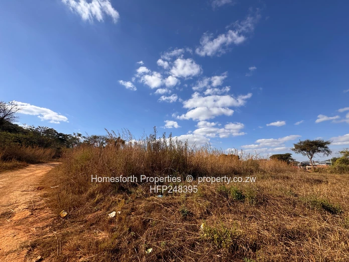 Norton Lidiate Agro Residential Plots For Sale  (Sole Mandate)