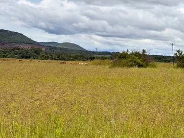 Farm & Agricultural Land