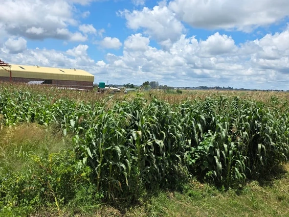 Commercial & Industrial Land