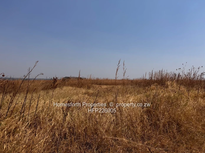 Nyeredzi Ridge Stand for Sale (Sole Mandate)