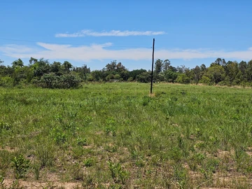 Farm & Agricultural Land