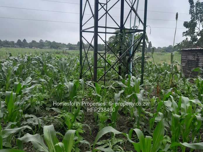 Glenlorne Property For Sale 