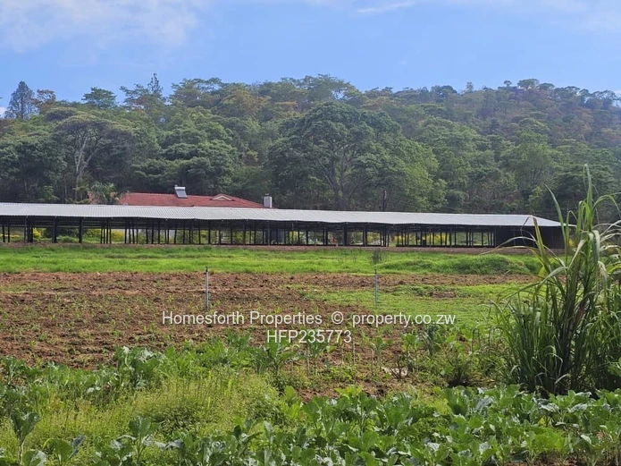 Umwinsdale property for sale